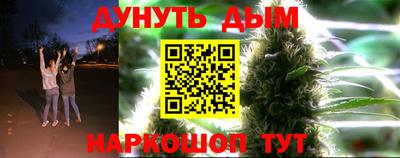 крисы Краснодар