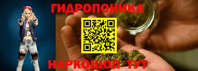 крисы Краснодар